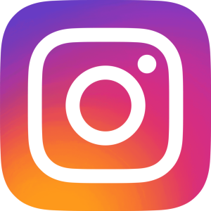 Instagram logo Ecommaster