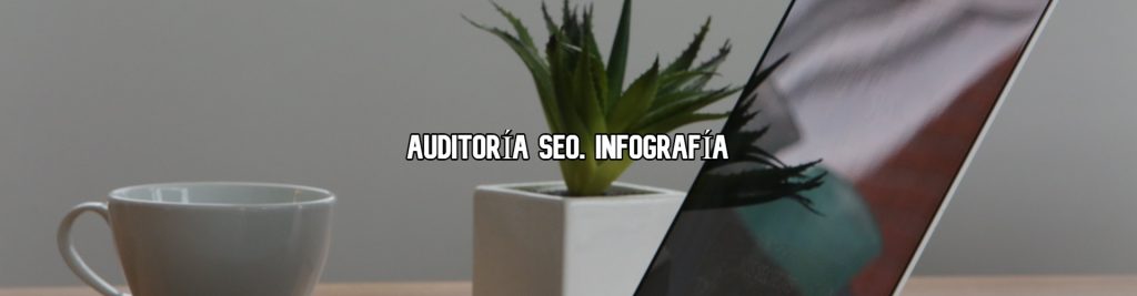 auditoria-seo-infografia