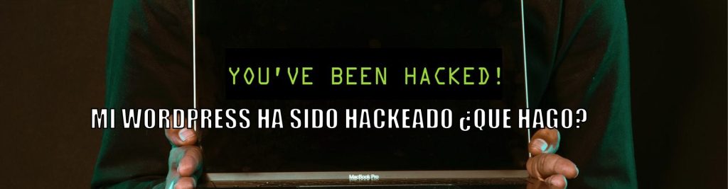 wordpress hackeado Ecommaster, Escuela Ecommerce