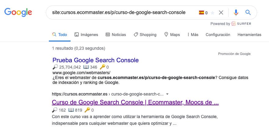 site Google comprobar URL Google 1 Ecommaster