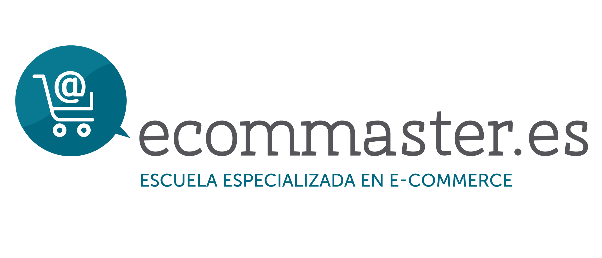 Newsletter Ecommaster